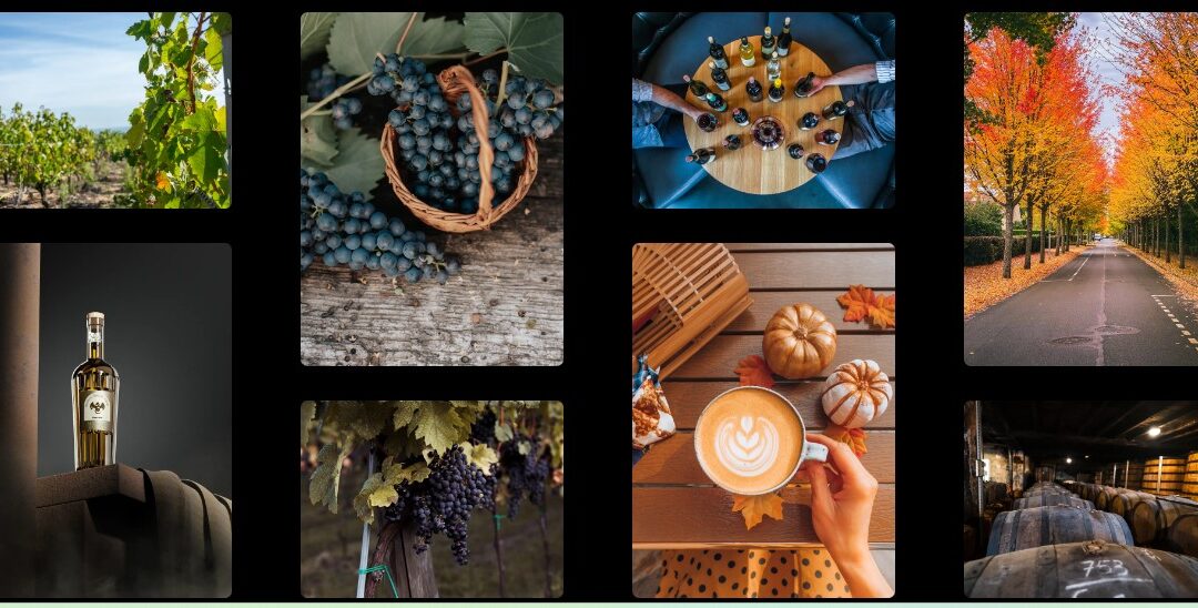 Beaujolais Noveau Arrivera 21.11.2024