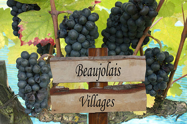 Soirée Beaujolais